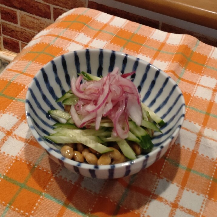 きゅうりと赤玉ねぎ甘酢漬けのサラダ納豆
